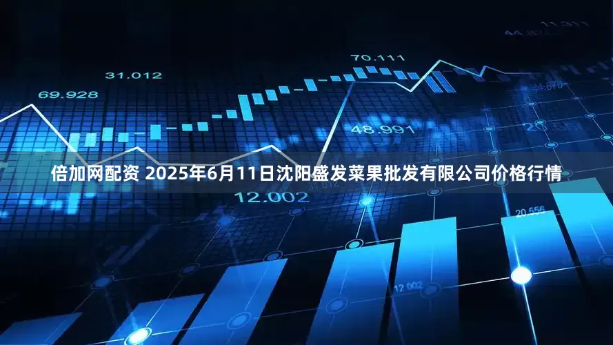 倍加网配资 2025年6月11日沈阳盛发菜果批发有限公司价格行情
